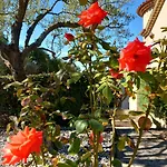 Le Relais Fleuri *
