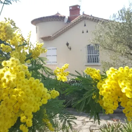 Le Relais Fleuri Gæstehus *