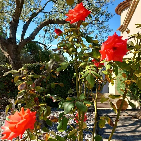 Le Relais Fleuri *