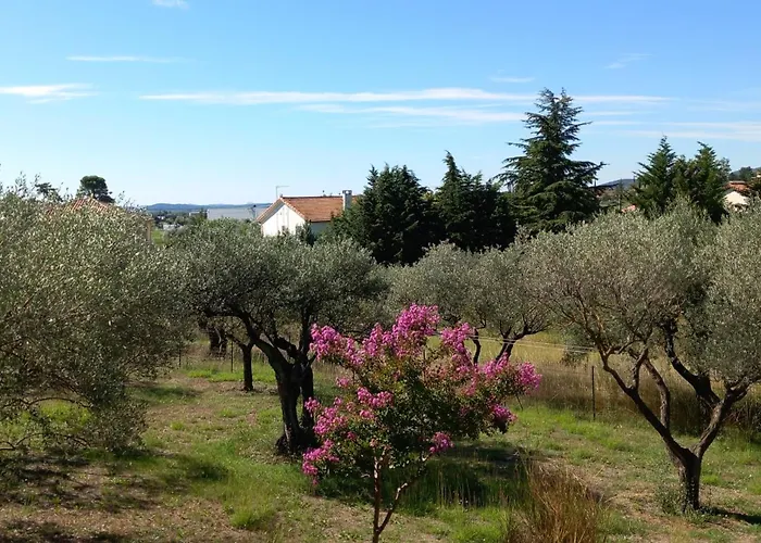 Casa de hóspedes Le Relais Fleuri *